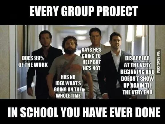 meme bout group projects